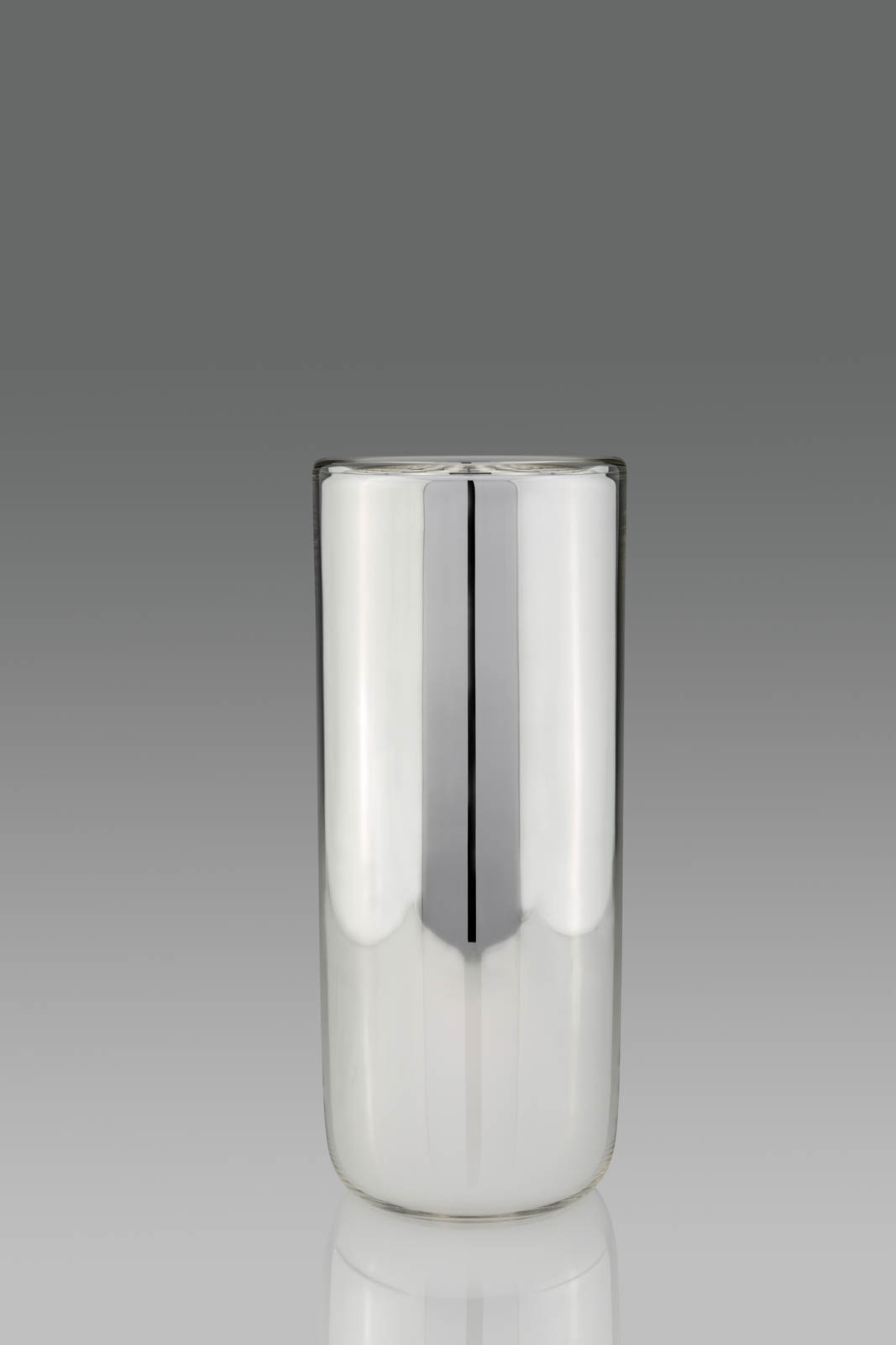 Silvered Glass Vase - Glass / Silver