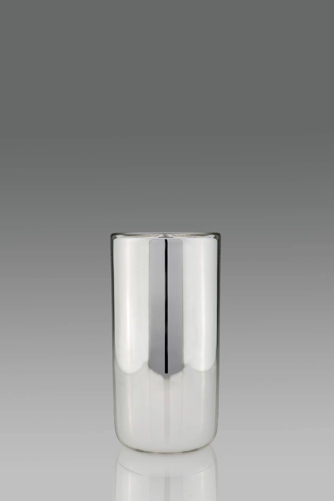 Silvered Glass Vase - Glass / Silver